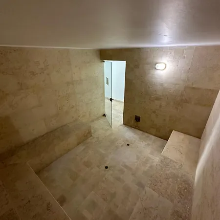 Modern 2 Story Penthouse, With Pool, & Apartment